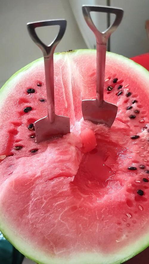 今日吃瓜感悟,品味人间百态